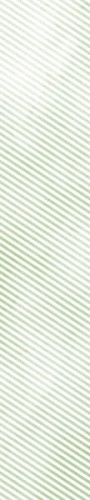 PPx_03_r.jpg