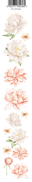 PPx_04_a.jpg