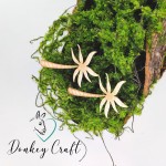 Tekturka Palmy 13 z grawerem 2 szt.