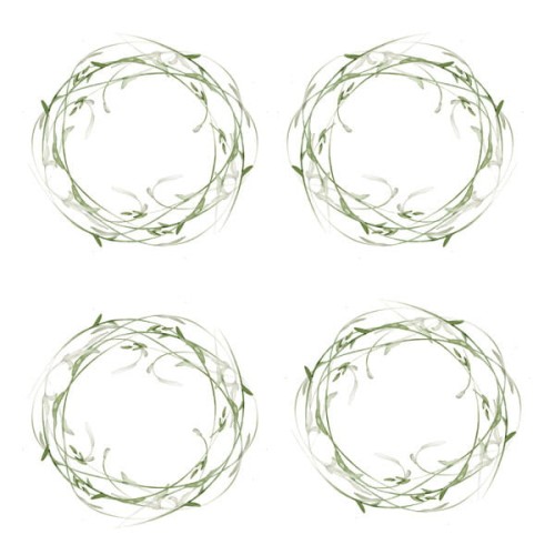 NTf_00_R.jpg
