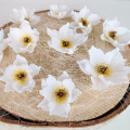 IMG_20230309_154005 – ze zmianami.png