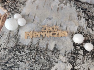 Napis ZJEDZ PIERNICZKA złota pleksi (1) 