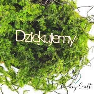 Napis DZIĘKUJEMY tekturka N047