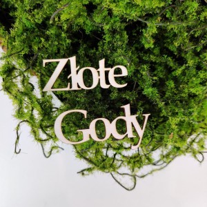 Napis ZŁOTE GODY tekturka N055