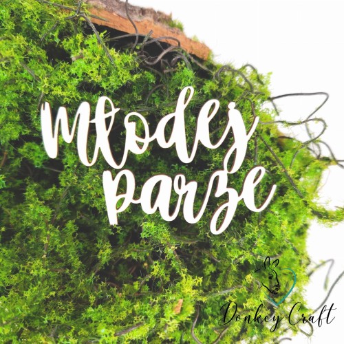 Projekt bez tytułu (23).jpg