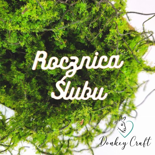 Projekt bez tytułu (27).jpg