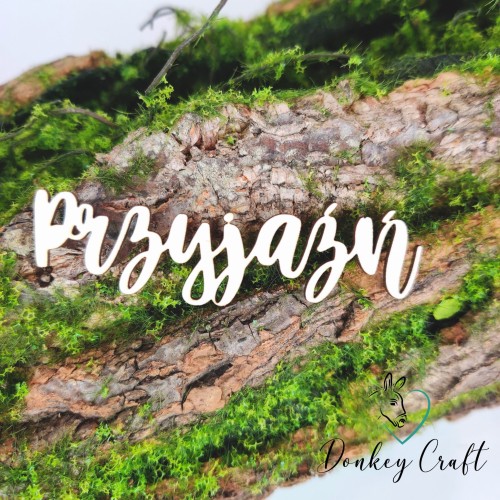 Projekt bez tytułu (30).jpg