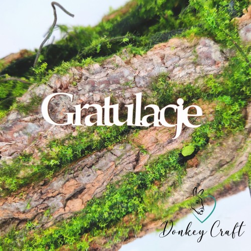 Projekt bez tytułu (32).jpg