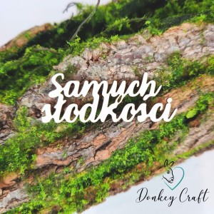 Napis SAMYCH SŁODKOŚCI tekturka N032