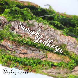 Napis SAMYCH SŁODKOŚCI tekturka N041