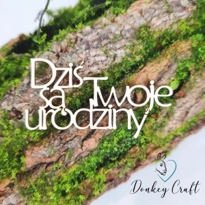 Napis DZIŚ SĄ TWOJE URODZINY tekturka N026