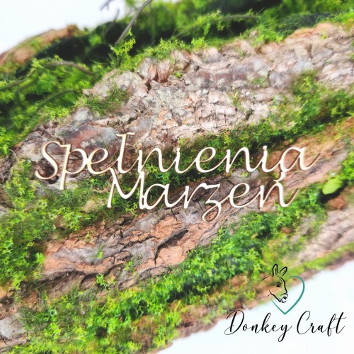 Projekt bez tytułu (22).jpg