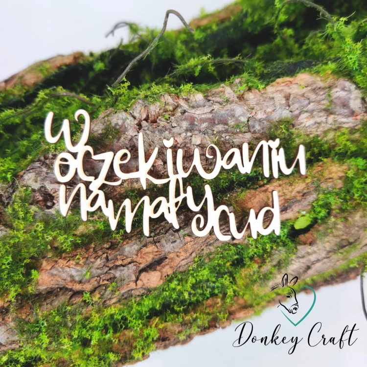 Projekt bez tytułu (21).jpg