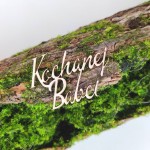 Napis KOCHANEJ BABCI tekturka N067