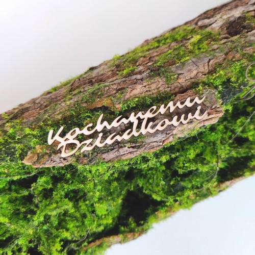 Projekt bez tytułu (72).jpg