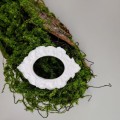 IMG_20220108_142910.jpg