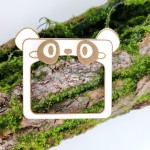 Tekturka ramka PANDA grawer T119