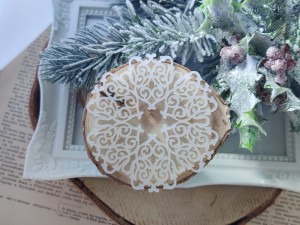 Tło 2 MROŻONA  pleksi ZM88