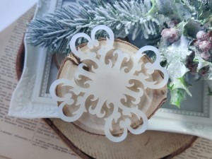 Tło 4 MROŻONA pleksi ZM90