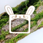 Tekturka ramka KRÓLIK grawer T125