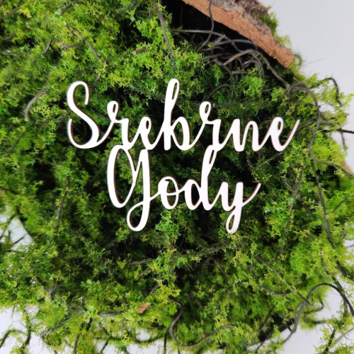 Projekt bez tytułu - 2022-04-02T133030.601.jpg