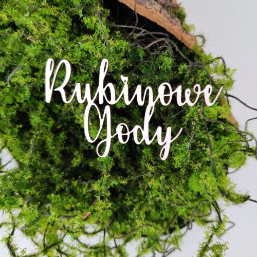 Projekt bez tytułu - 2022-04-02T132548.230.jpg