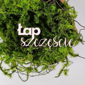 Napis ŁAP SZCZĘŚCIE N093