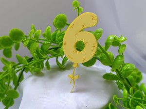 Cyfra 6 balonowa PLEKSI wybór koloru UR112