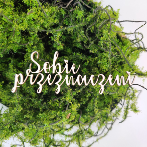 Napis SOBIE PRZEZNACZENI N212