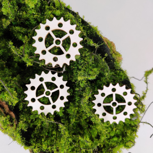 Projekt bez tytułu (1).png