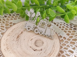 Pociąg pastelowa pleksi - wybór koloru  WL86